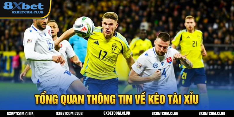Tổng quan một số thông tin cần biết về kèo tài xỉu