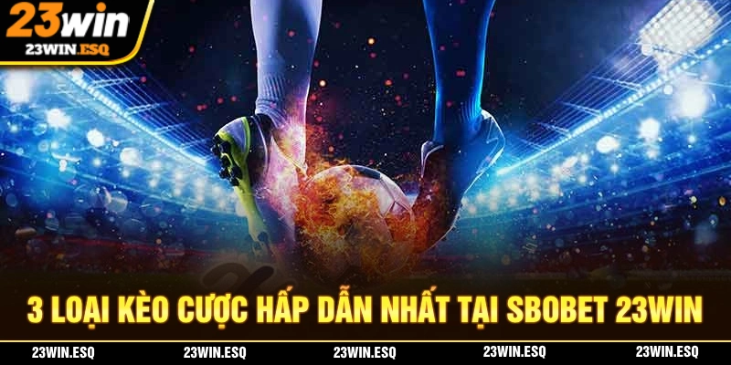 3 loại kèo cược hấp dẫn tại SBOTBET 23WIN